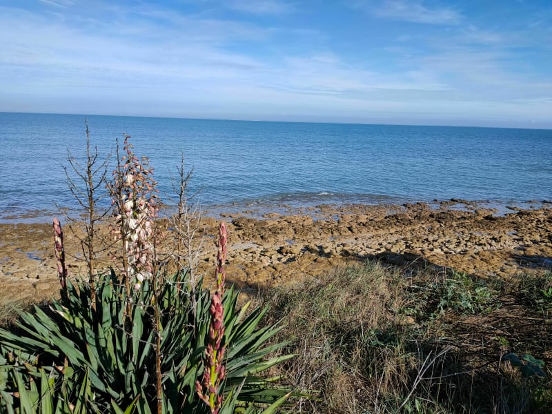 Boucle au bord de Loix et centre du village - Loix