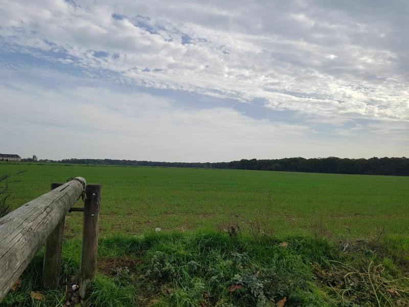 Petite sortie dans la forêt de Notre-Dame - Noiseau