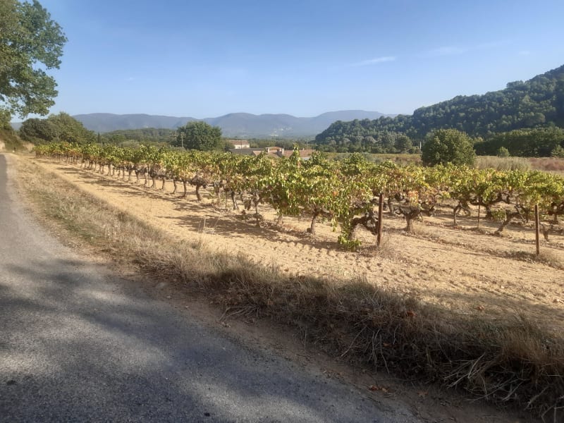 Balade colline des Gardis à Cadenet - Cadenet