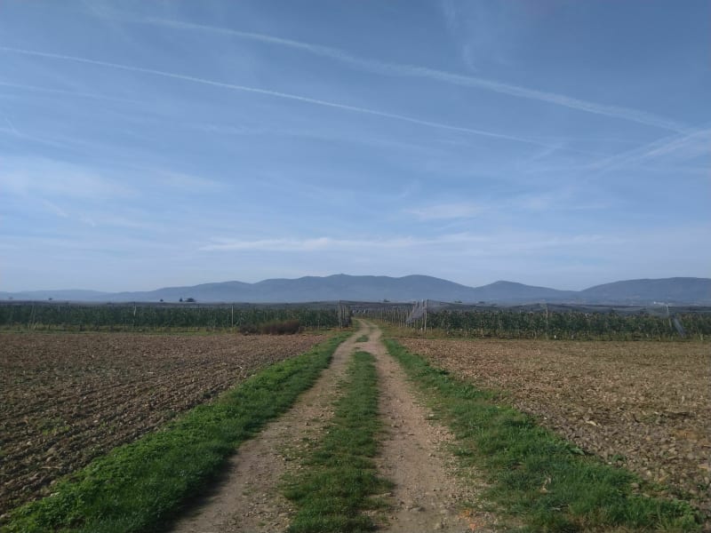 Entre forêt et arbres fruitiers, sur les plateaux de Glay - Saint-Clair-du-Rhône