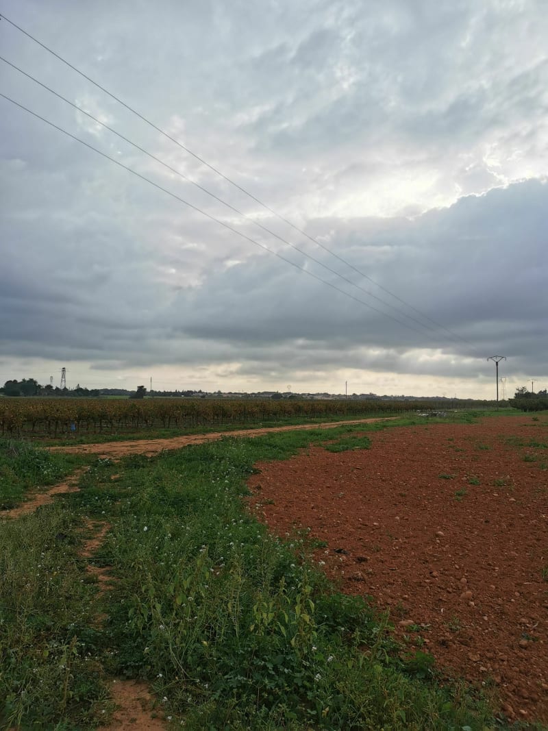 Entre Rodilhan et Bouillargues, balade dans les vignes - Bouillargues
