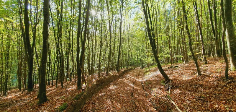 Melleville et La Marette - Melleville