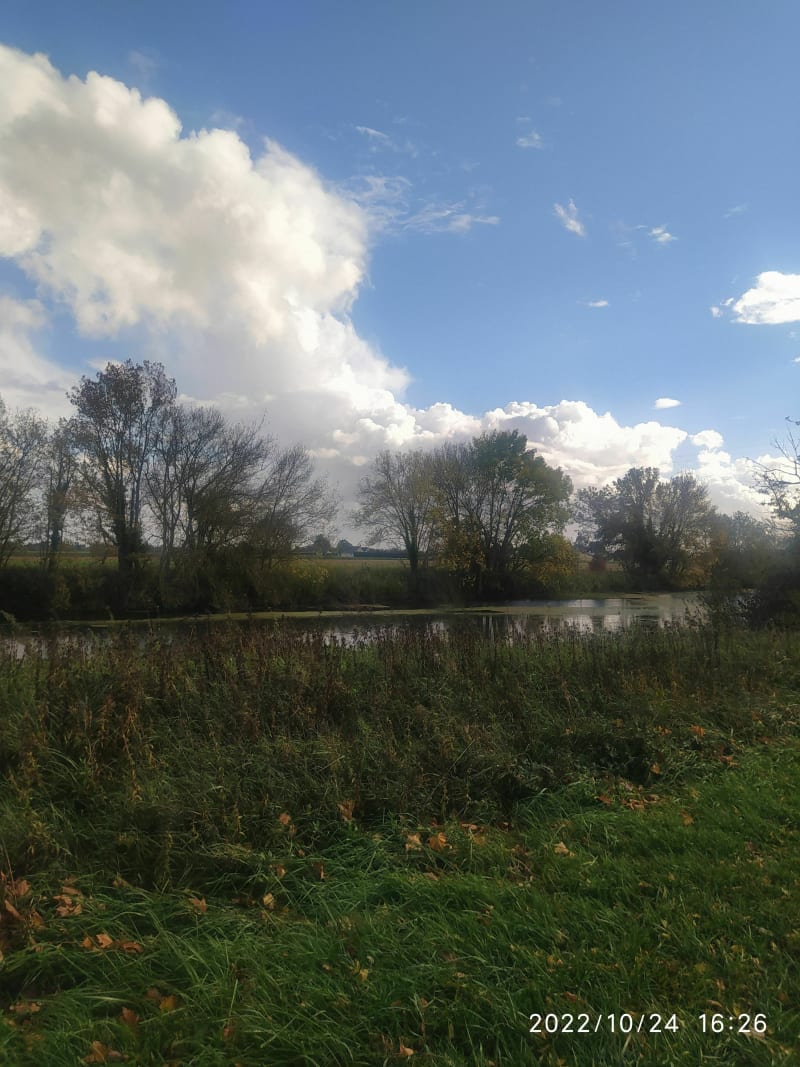Bord de L'Authion à vélo ou à pied - Mazé-Milon