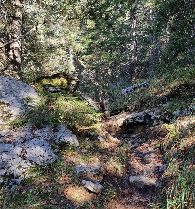 Champletier par le monument des Glières - Fillière