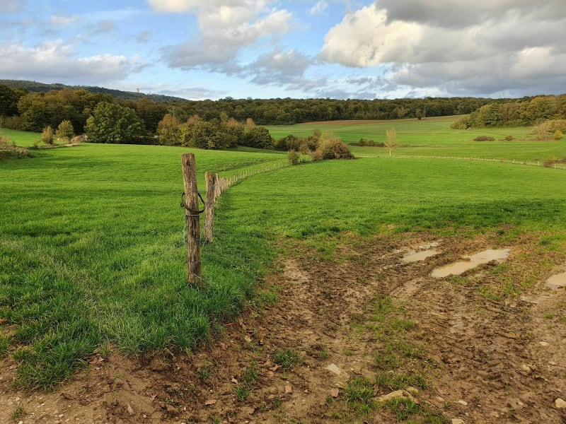 Promenade Le Coudrai - Essert