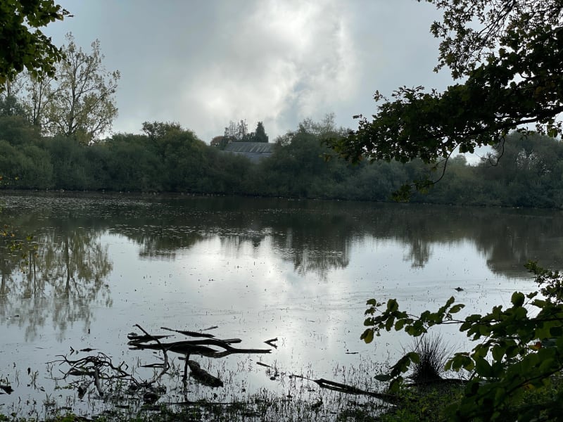 Les lacs de Sillé Plage - Sillé-le-Guillaume