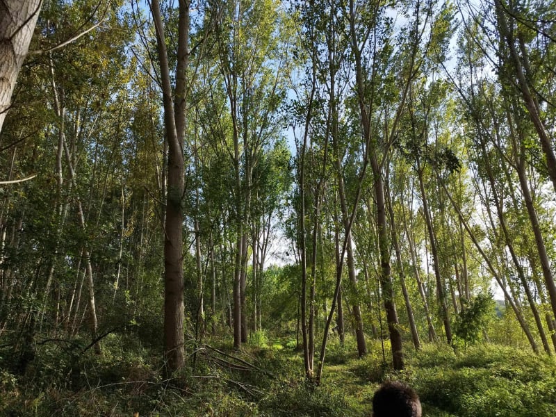 Balade à Ballan-Miré - Ballan-Miré