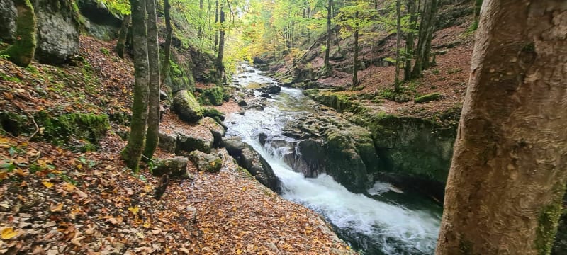 Cascade du Bief de la Ruine, par les Gorges de Malvaux - Les Planches-en-Montagne
