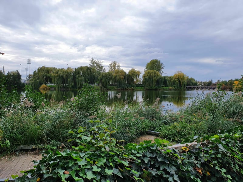 Balade au parc du Héron - Mons-en-Barœul