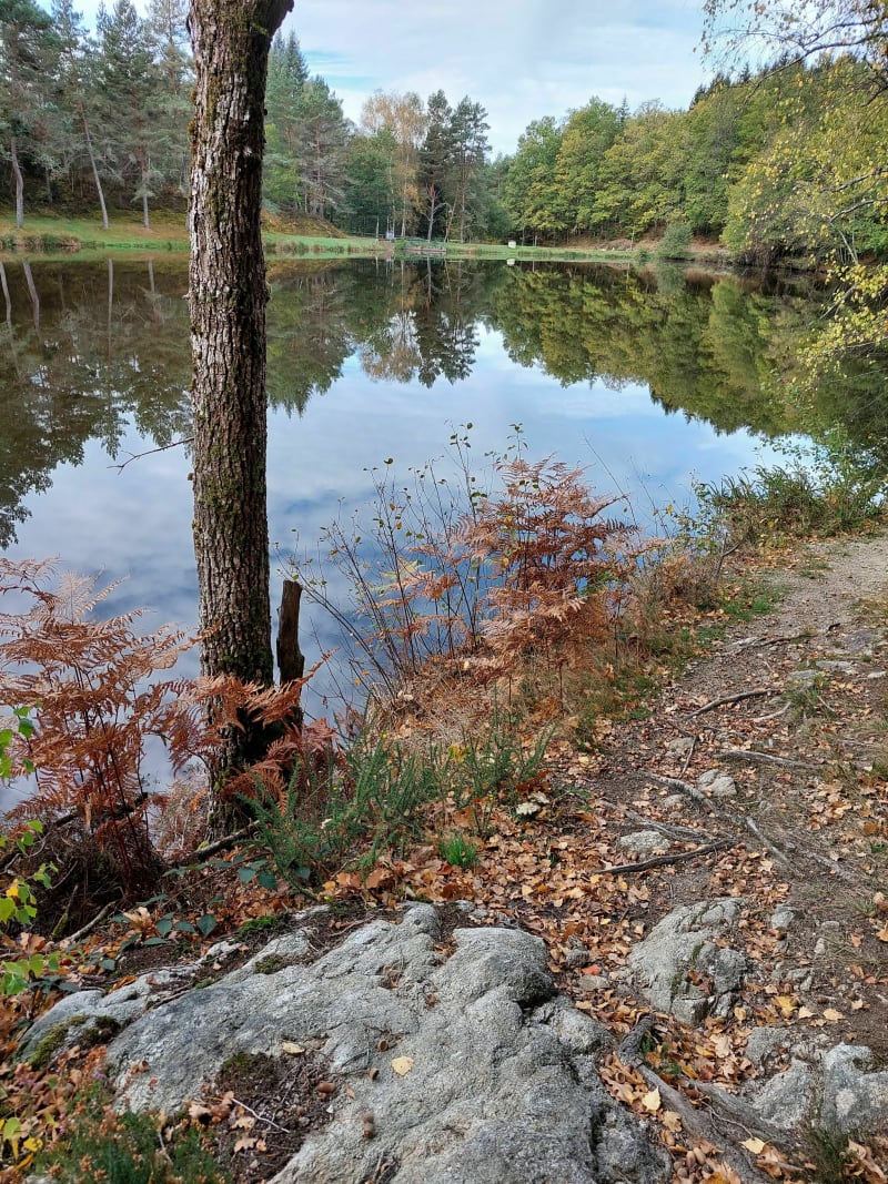 Balade Nature à Valliere - Vallière