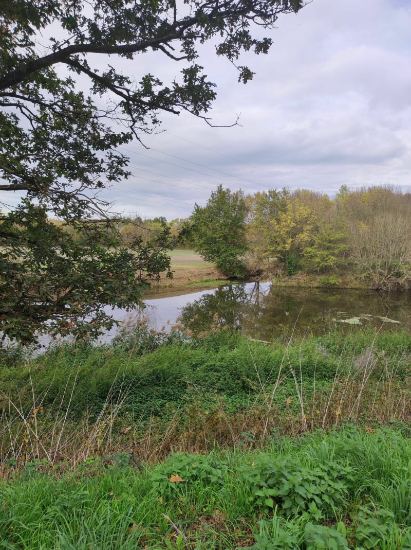 Sur les bords de l'Authion - Loire-Authion