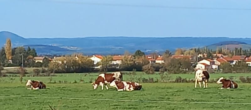 Balade entre Saint Christophe et Cayres à VTT - Saint-Christophe-sur-Dolaison