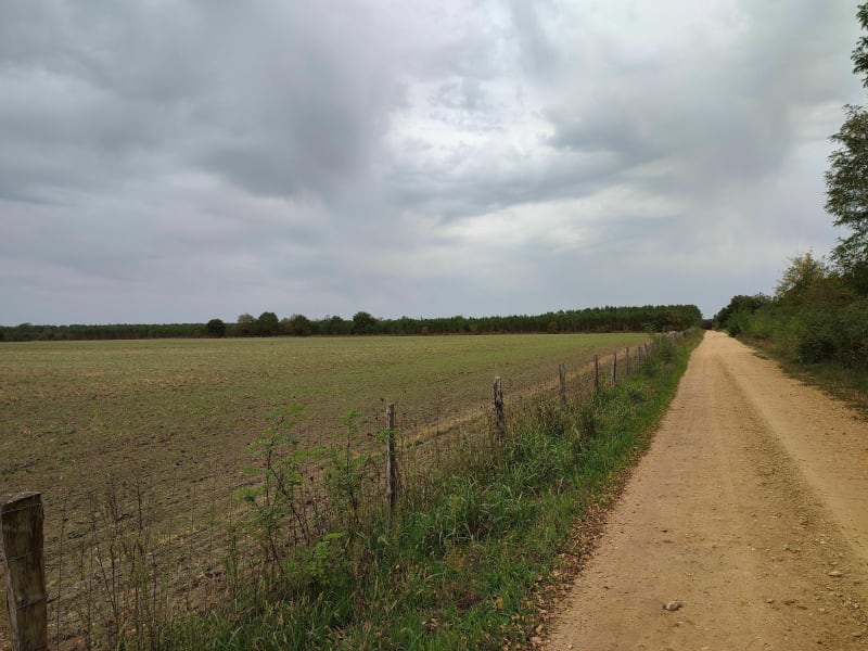 Promenade dans la nature - Ygos-Saint-Saturnin