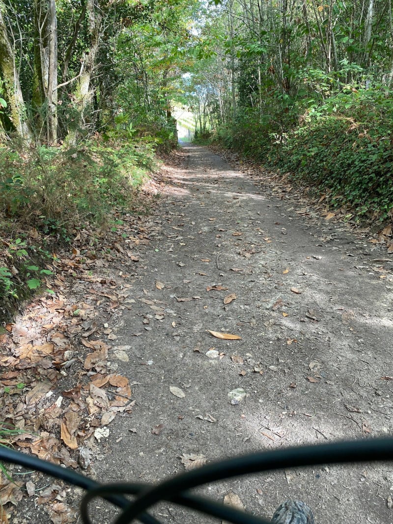 Bonne randonnée vtt difficile en forêt … - Saint Leger