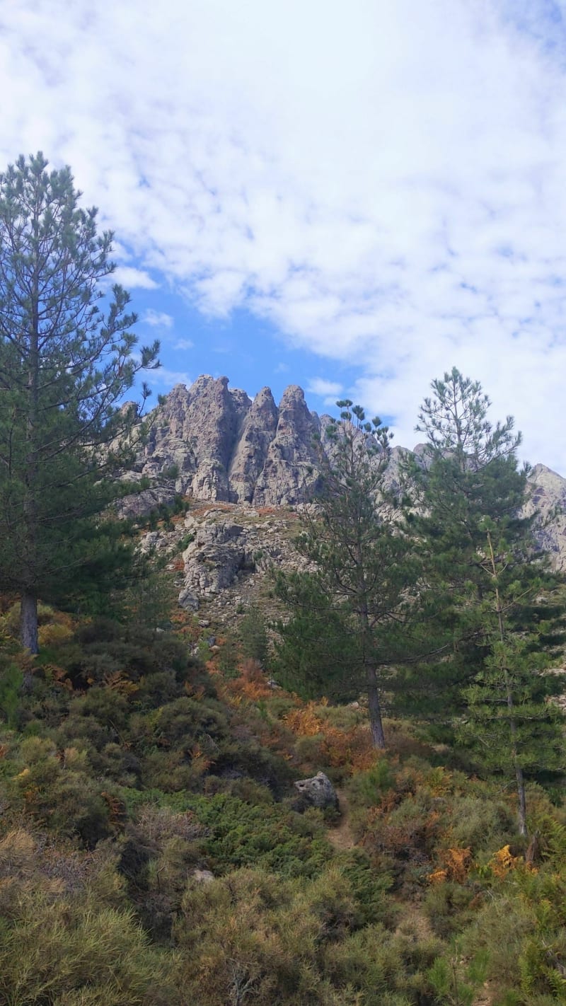Balade au pied du Rundinaia et du massif de Popolasca - Castiglione