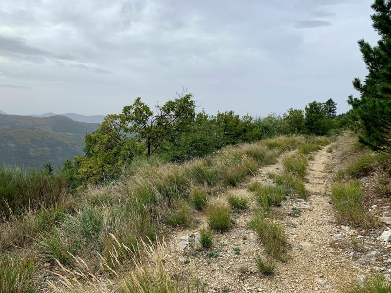 Belle boucle Gravel au départ de Châtillon-en-Diois - Châtillon-en-Diois