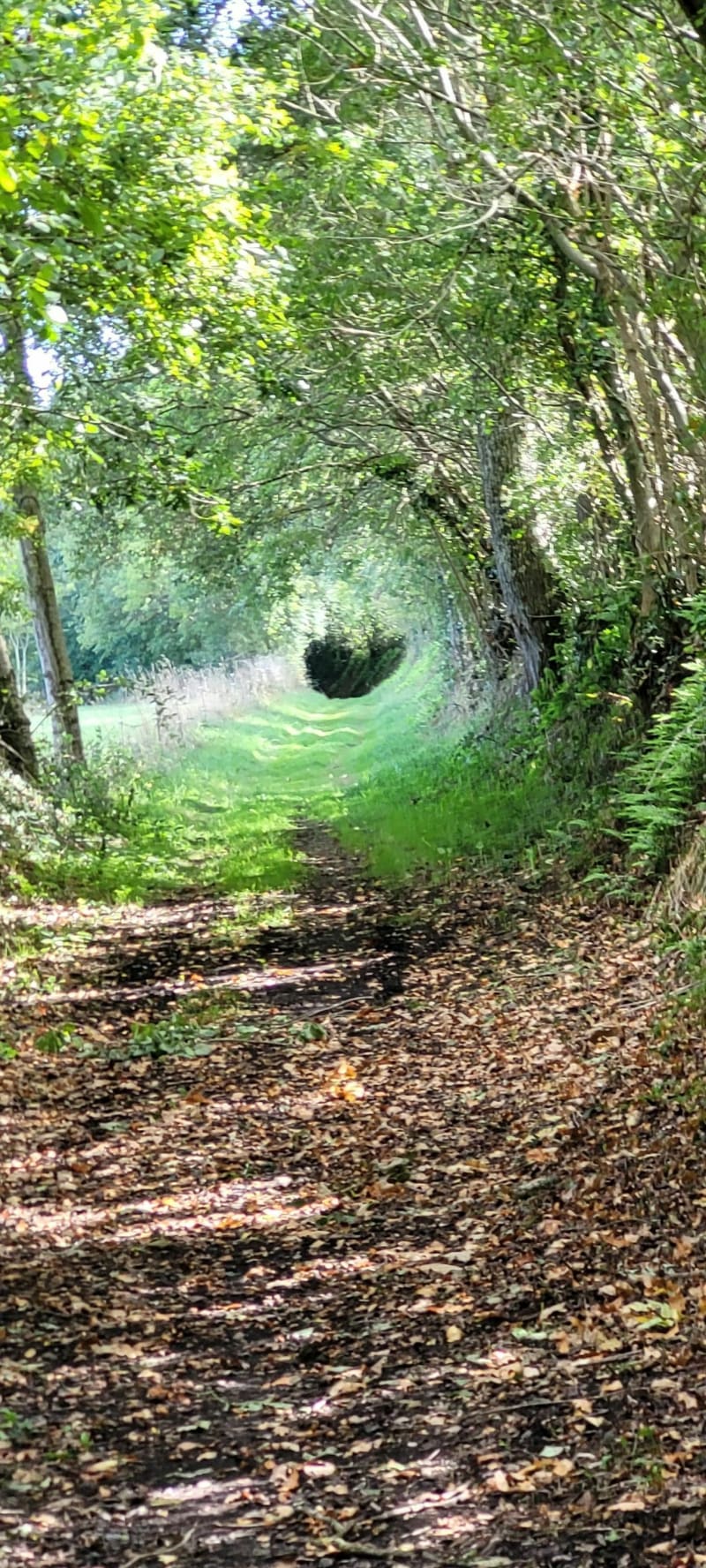 Chemin autour de Coutances - Orval-sur-Sienne