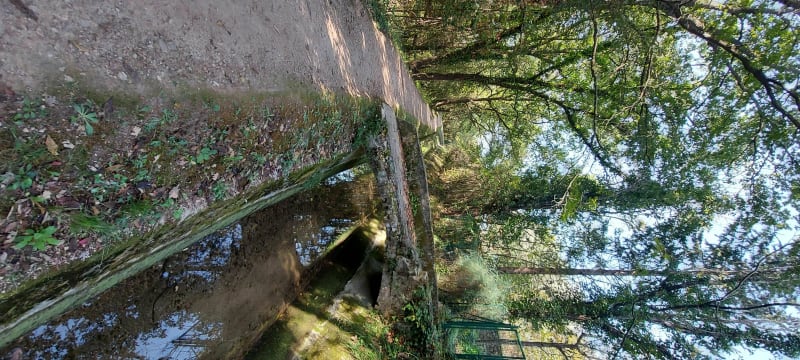 Le long du canal de la Siagne - Grasse