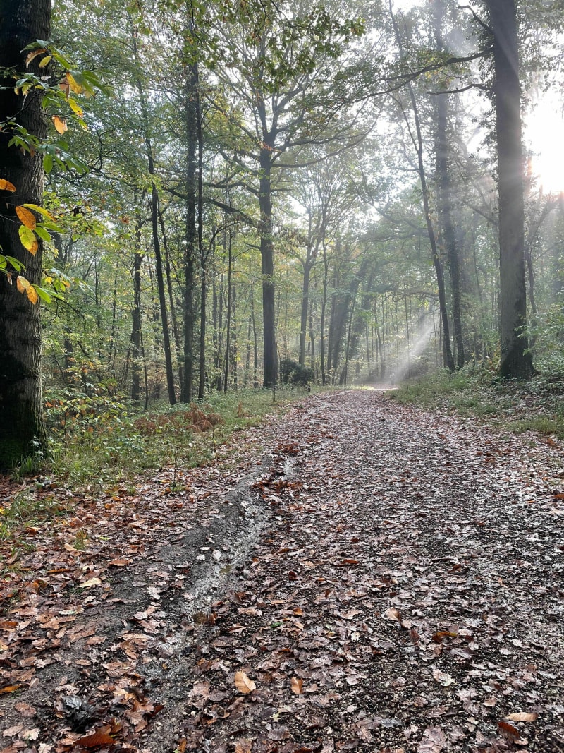 De Courcelles et vallée de Gif au Paradou - Gif-sur-Yvette