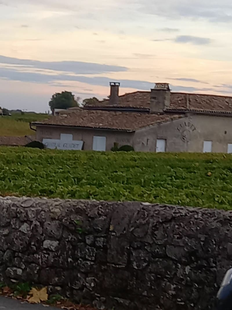 Boucle des grands crus - Saint-Émilion