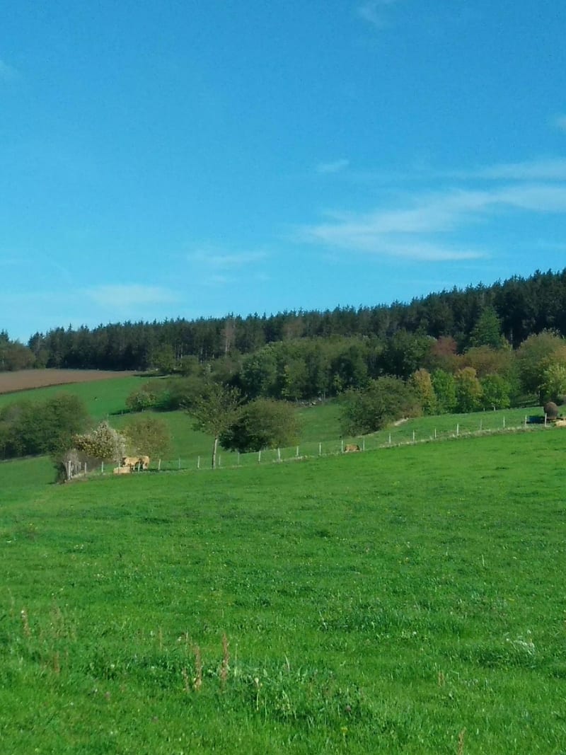 Auberge chez Jean Marie Chavanol - Saint-Chamond