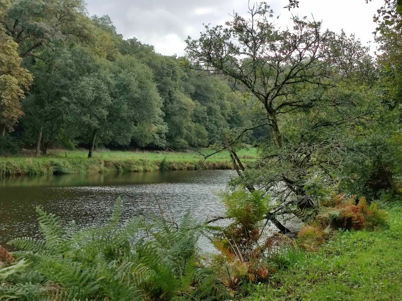Le long de l'Aulne et le Pont Coblant - Pleyben