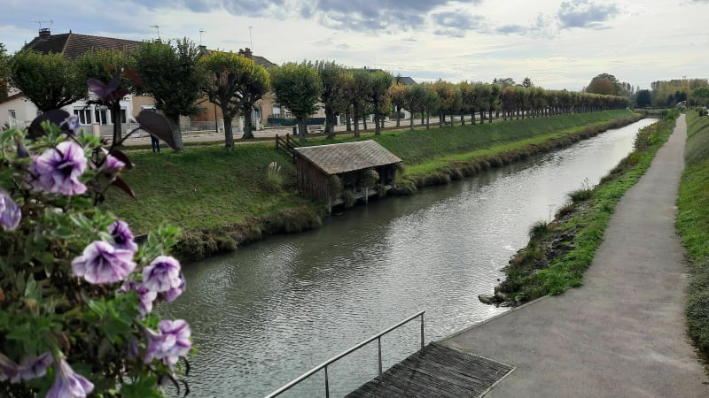Balade au bord du canal et du village de Méry-sur-Seine - Méry-sur-Seine