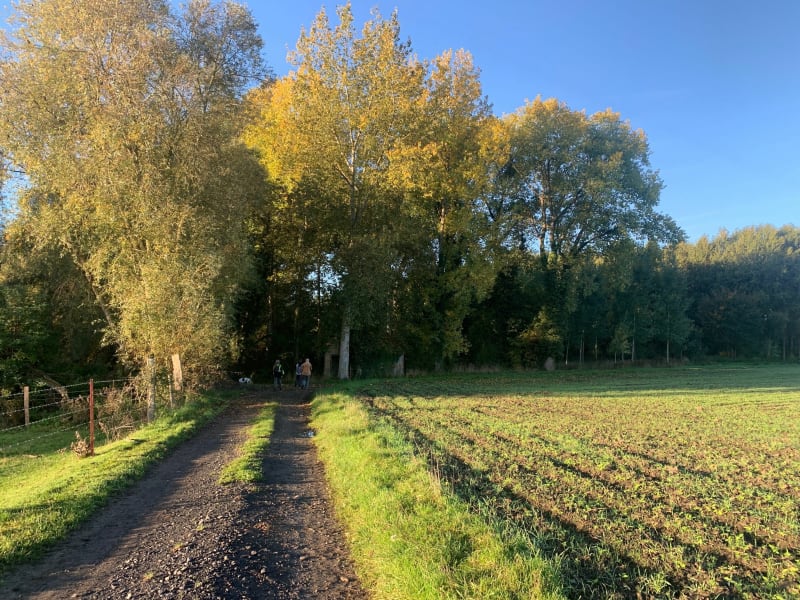 Aubigny au Bac autour des Marais - Aubigny au Bac