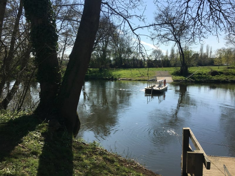 Rives de sarthe - Saint-Pavace