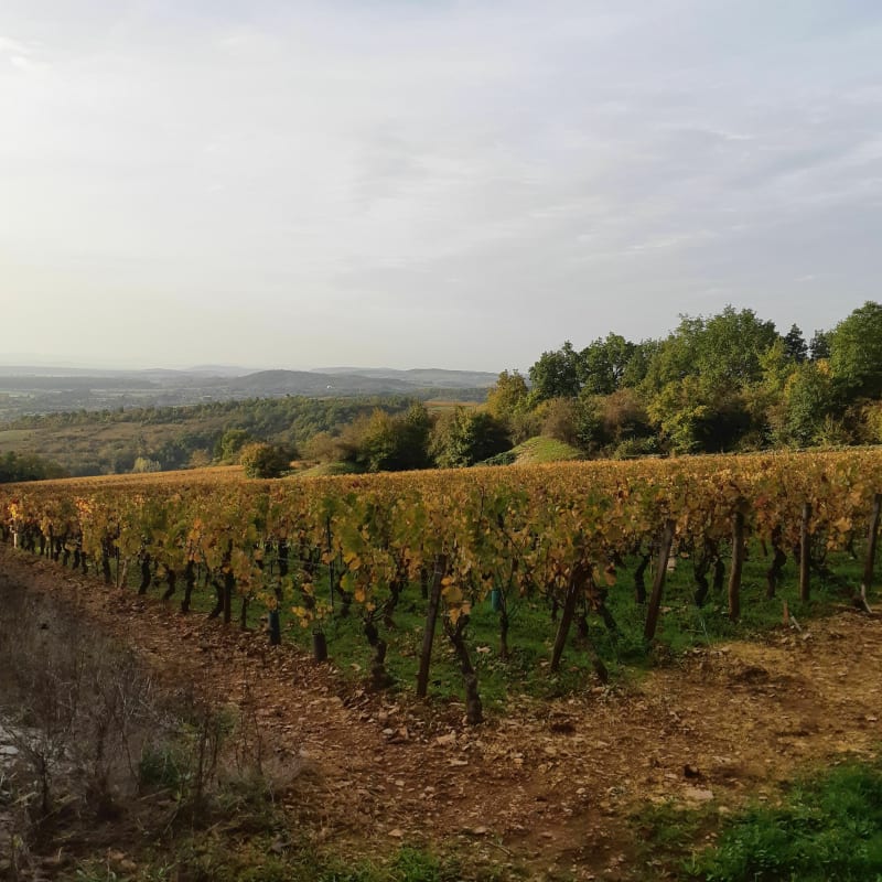De Givry, en passant par la vierge - Givry