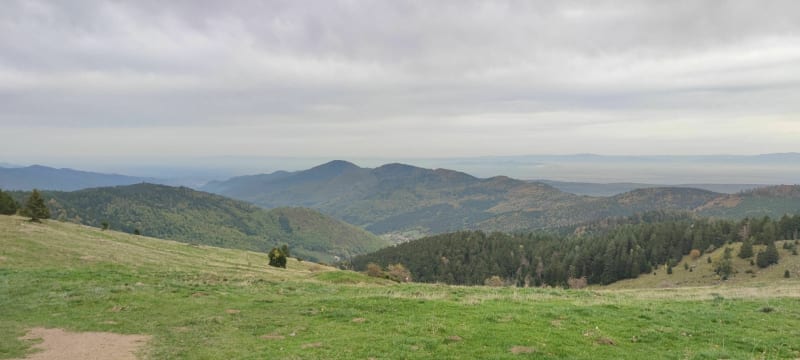 Balade au petit ballon depuis Buchwald - Luttenbach-près-Munster