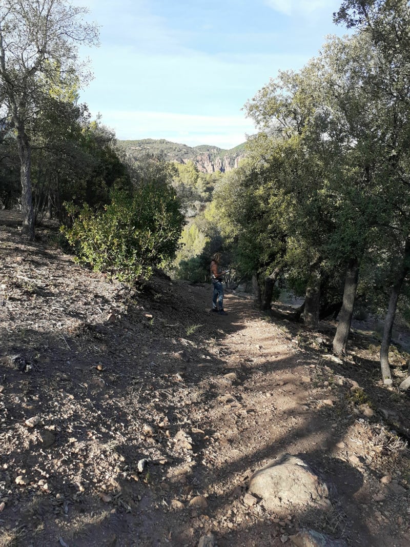 Ballade dans la forêt de Raphaël - Roquebrune-sur-Argens