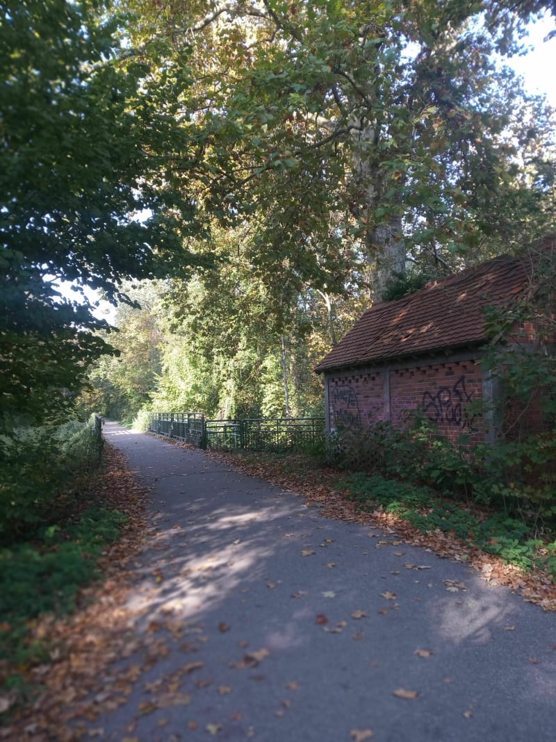 Forêt de pourtales - Strasbourg