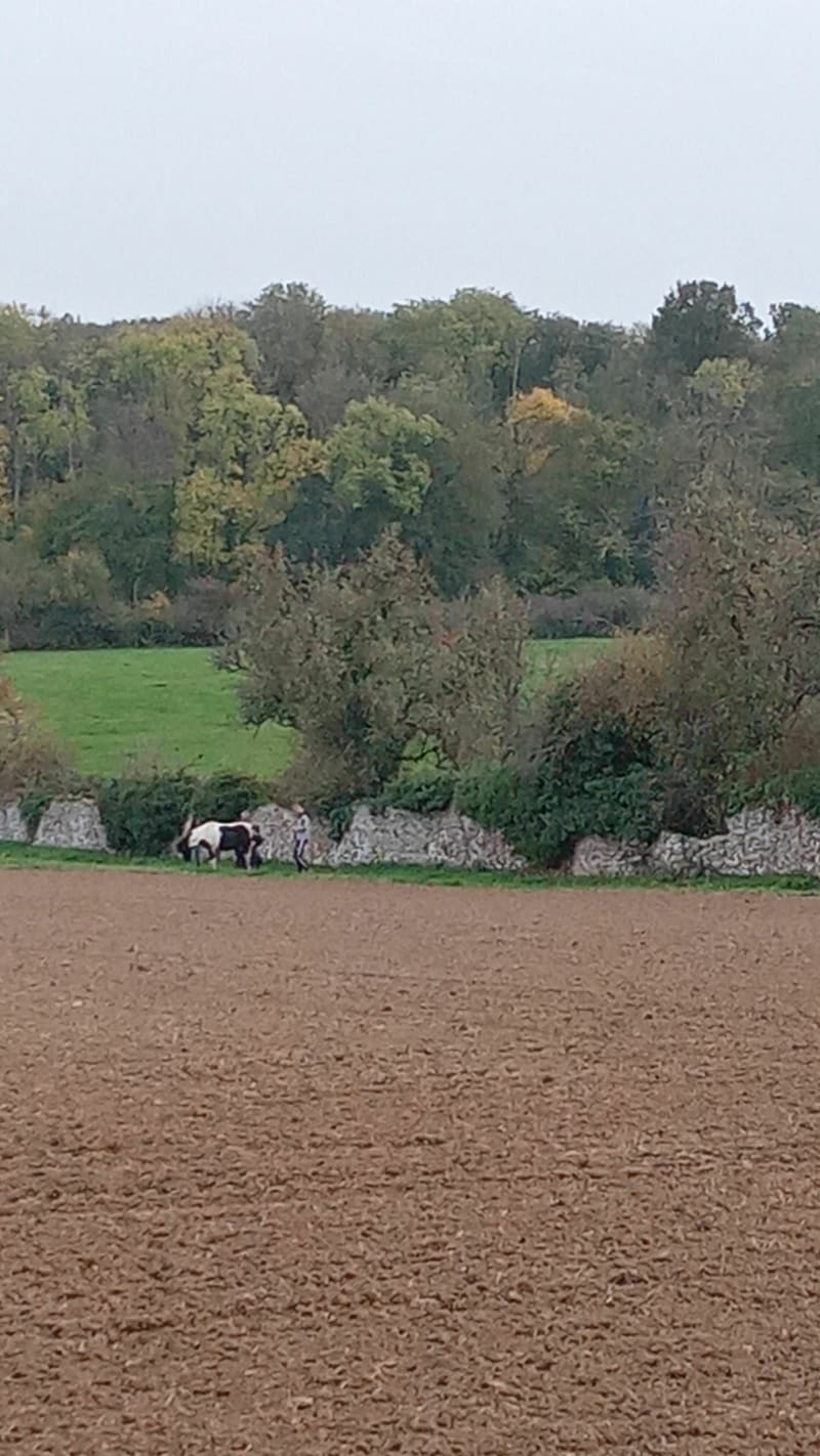 Boucle sur L'Hautil de Courdimanche à Boisemont - Courdimanche