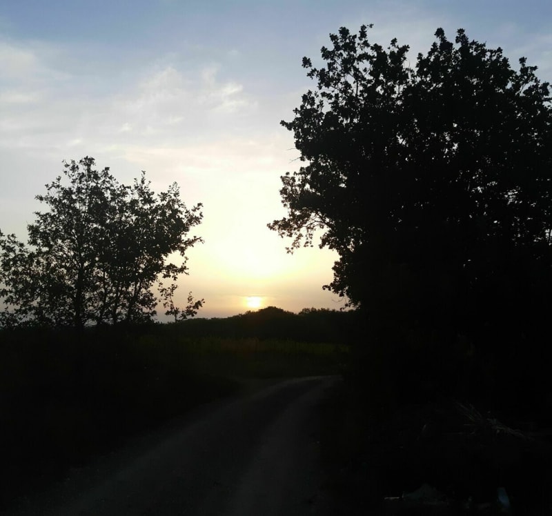 Balade des 3 villages. St Jean Lasseille, Brouilla et Bages - Saint-Jean-Lasseille