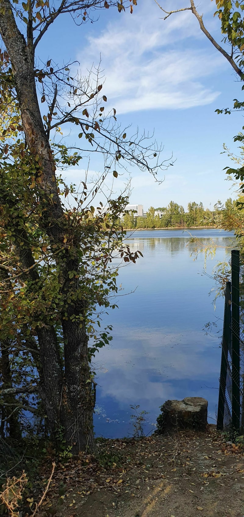 Les lacs de Labège - Saint-Orens-de-Gameville