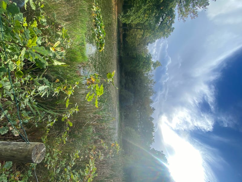 La mare Asse - Saint-Pierre-lès-Elbeuf