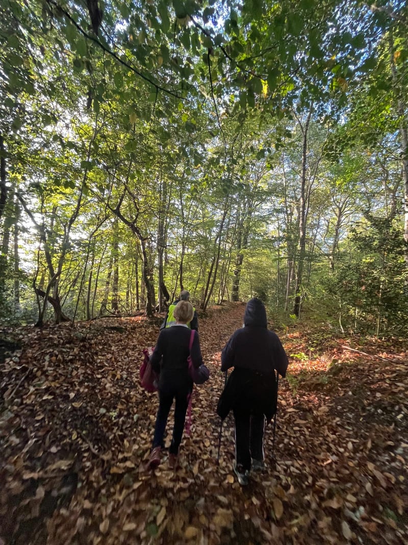Harfleur et le Bois de Colmoulins - Harfleur