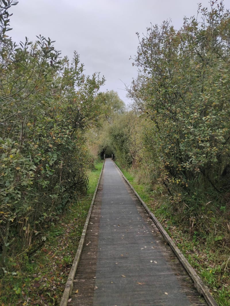 Sentier des têtards - Guines