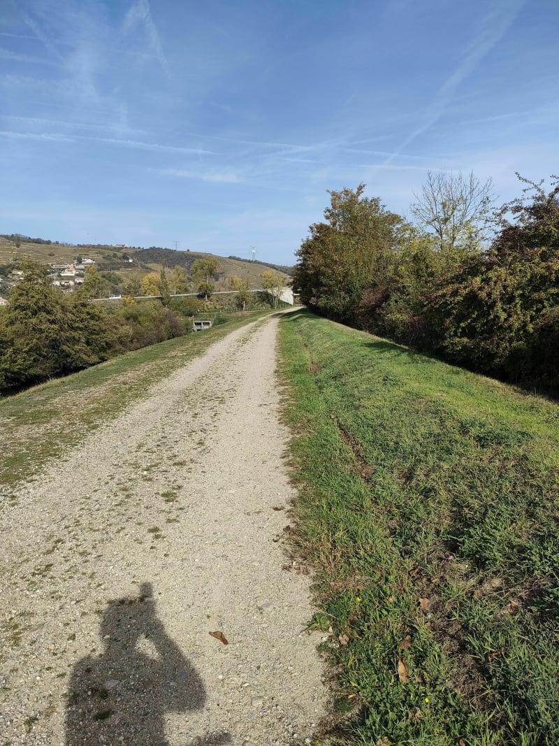 Promenade à VTT le long du Rhône et la Lône - Saint-Clair-du-Rhône