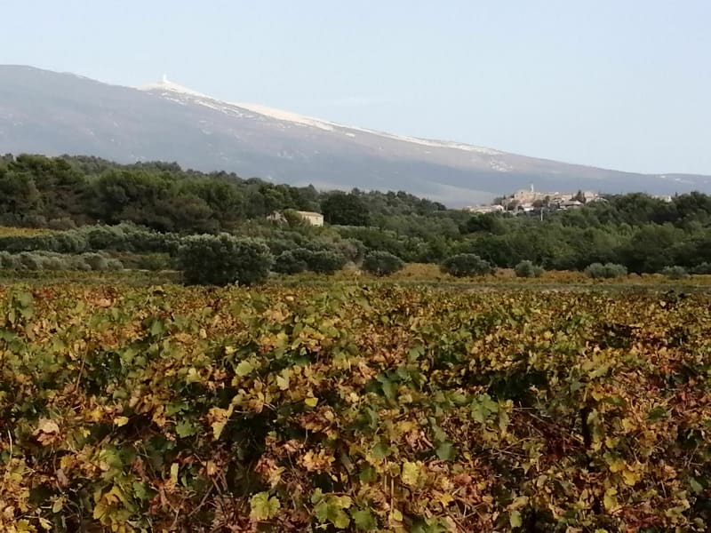 Caromb sur les chemins de Séraphin - Caromb