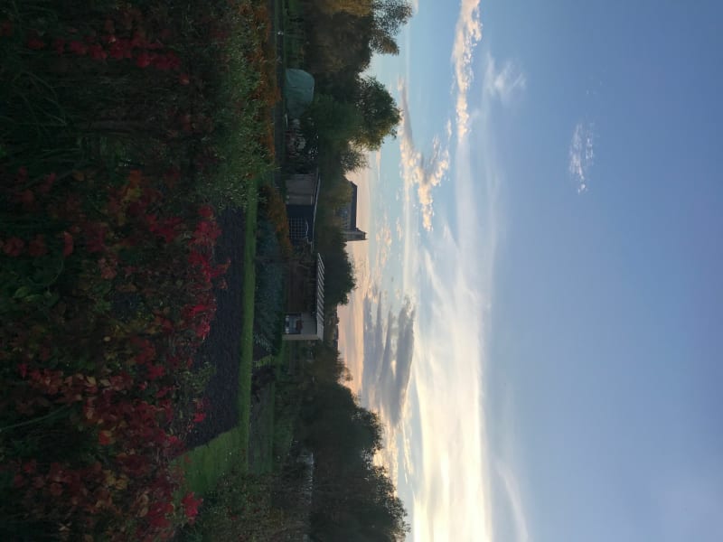 Les marais - Bourges