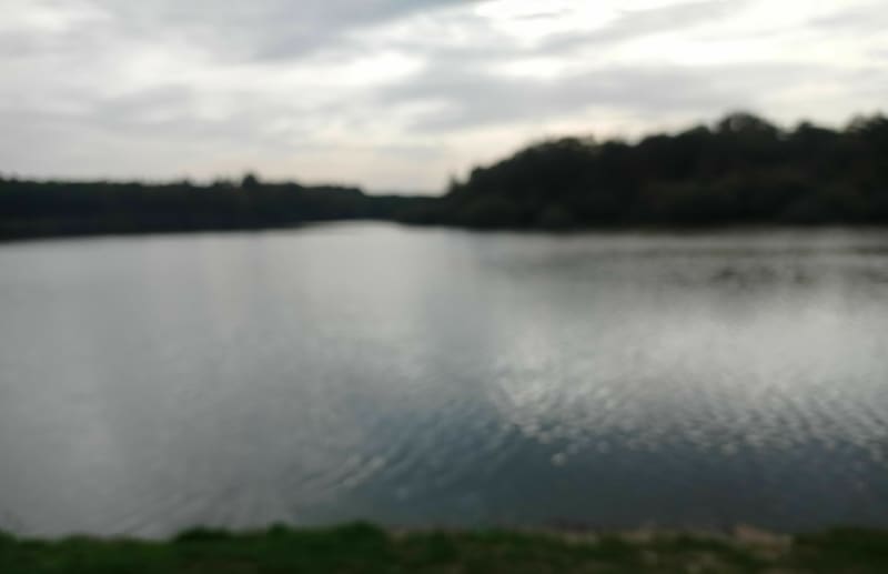Sentier du Gué l'Evêque - Montereau