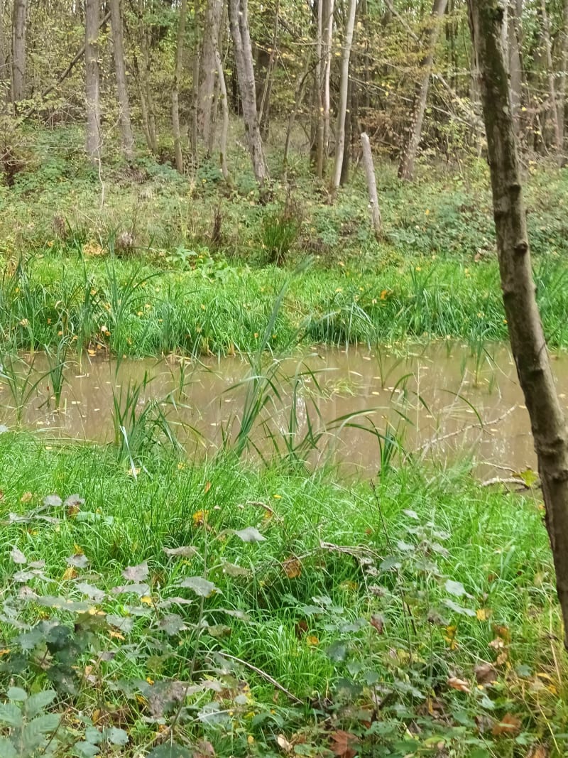 Autour du terril Leforest - Leforest