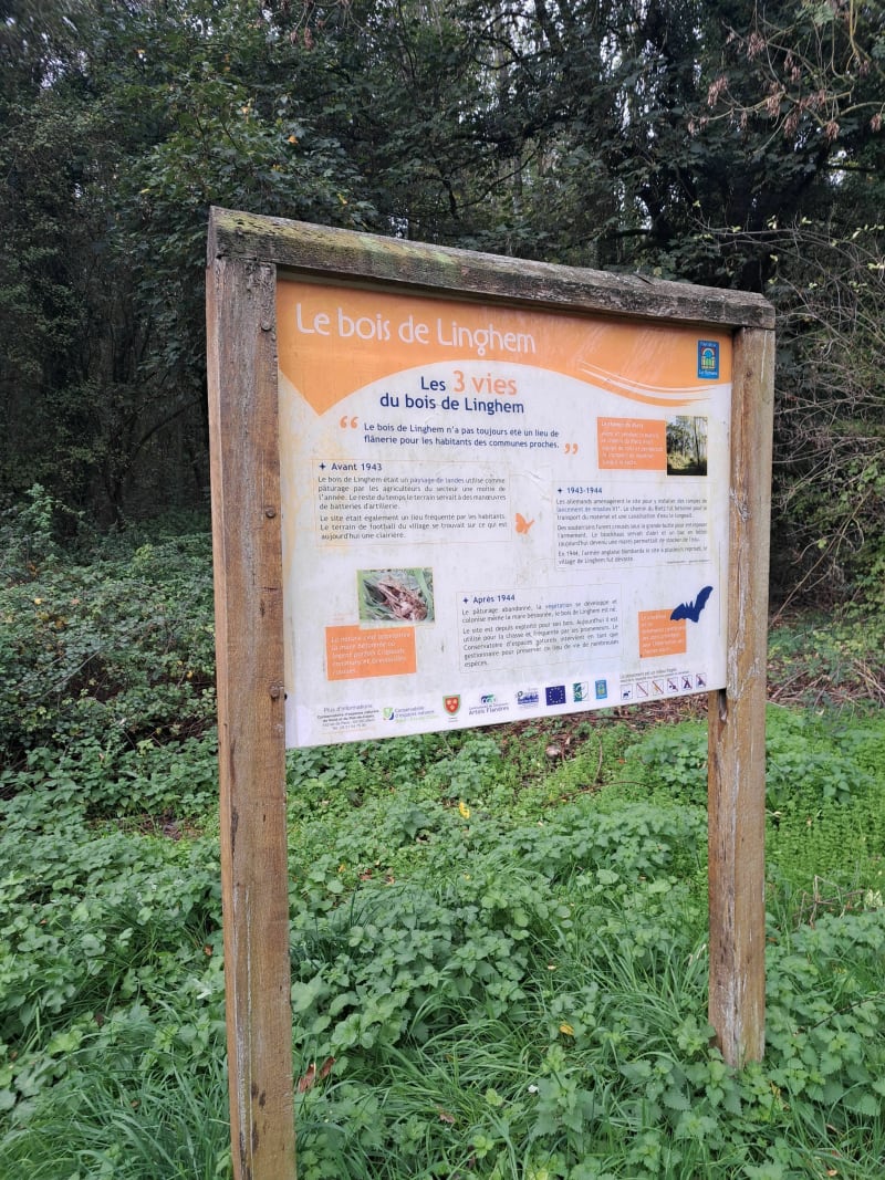 De la Lys au bois de Linghem - Isbergues