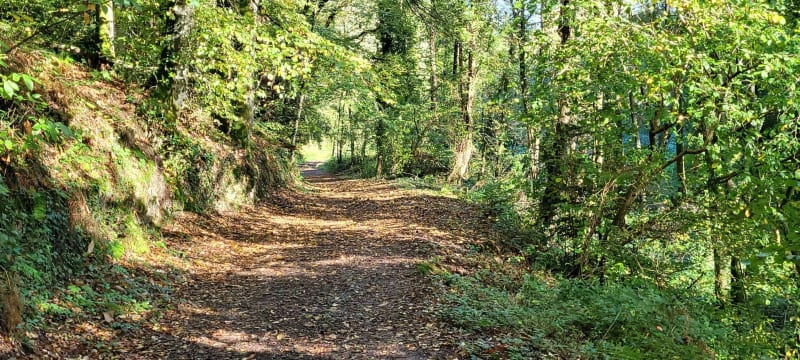 Gavray et ses sous bois - Gavray-sur-Sienne