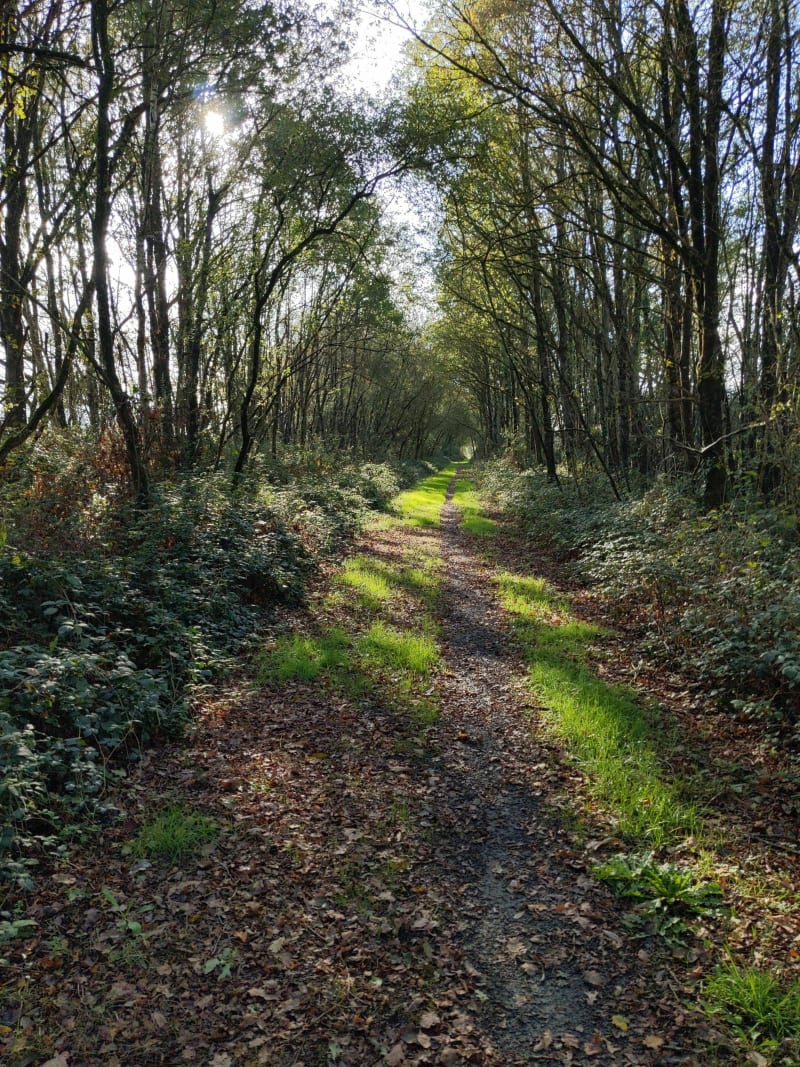 Sentier Guy Cadou - Louisfert