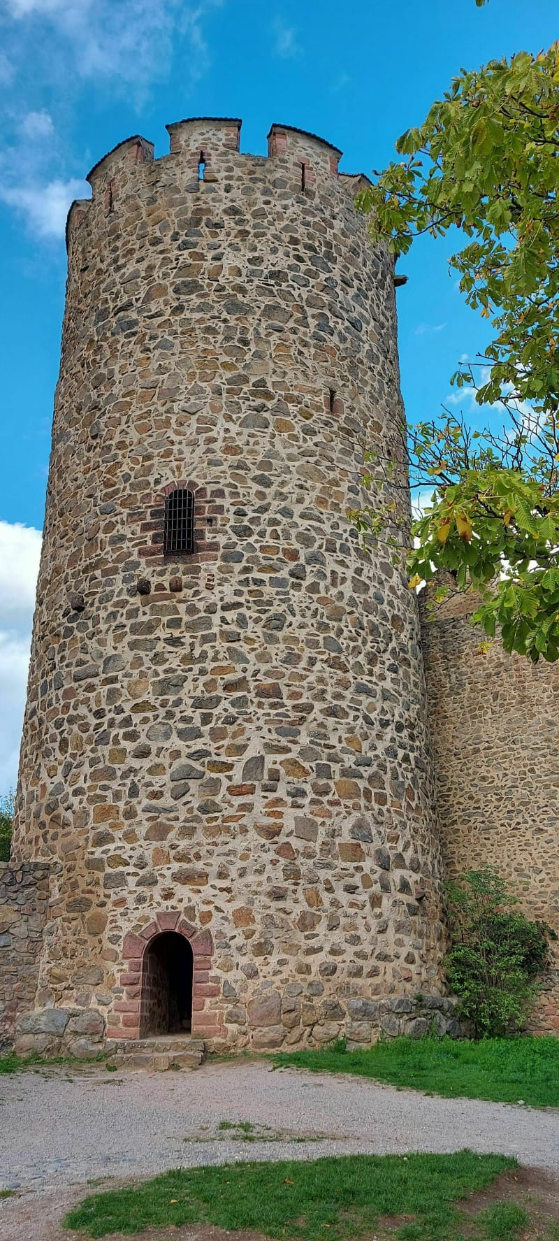 Château de Kaysersberg - Kaysersberg