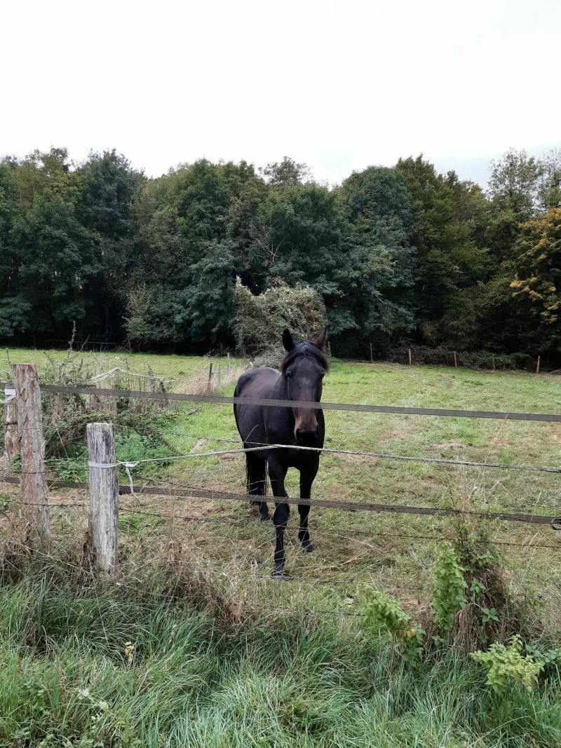 Boucle de Champeaux Saint-Mery - Champeaux