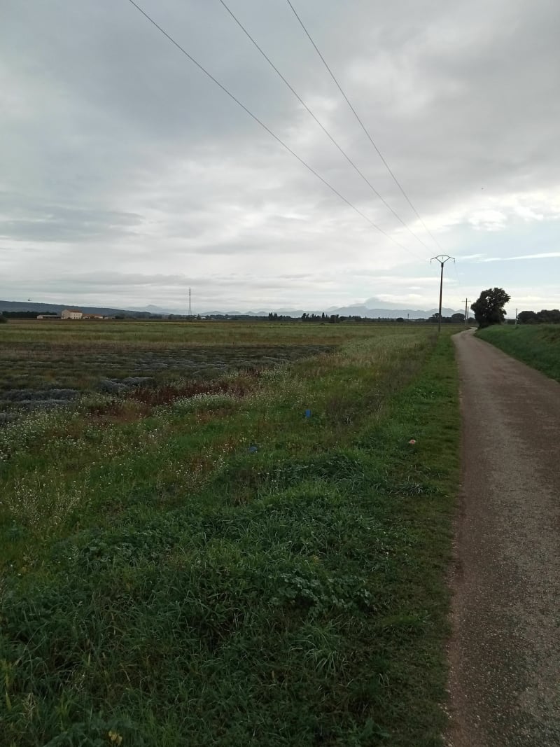Campagne Piolençoise - Piolenc